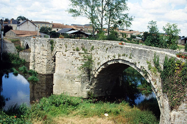 image8