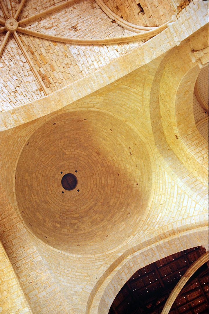 image8