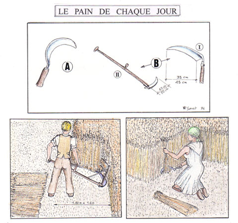 Cliquer ici pour agandir l'image